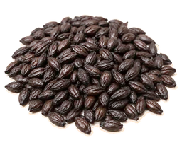 Roasted malt grains